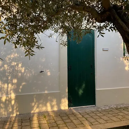 Apartment Colle Igino *