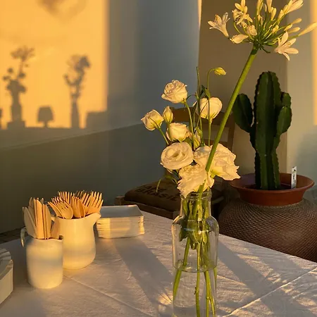 Apartment Colle Igino *